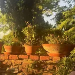 Casa Castello Di Morrona Terricciola